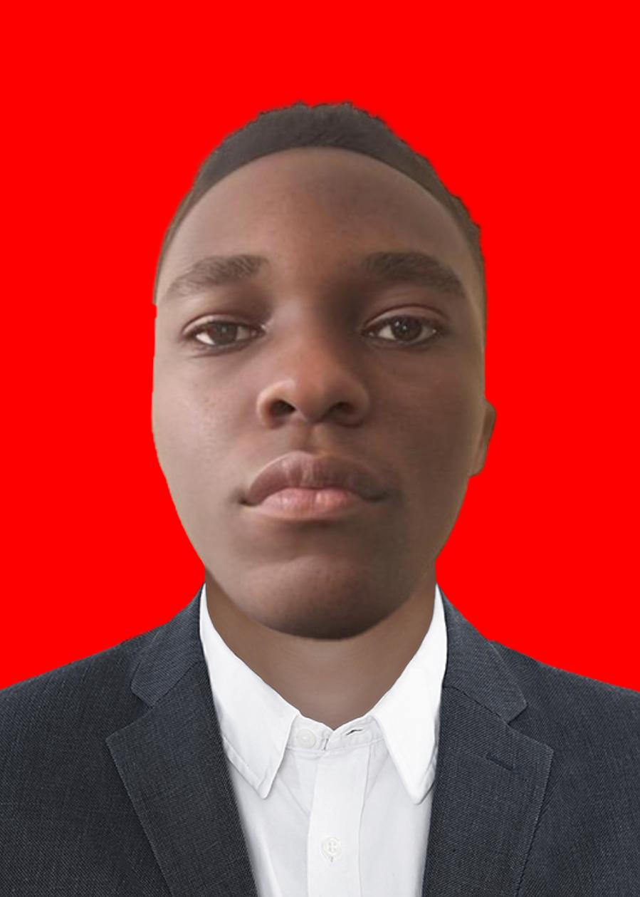 Michael Prince Ojoajogwu' image